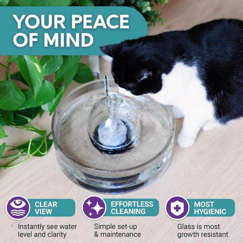 Brook Glass Pet Fountain (90oz/2.7L) – Cat & Dog Water Fountain – Glass Cat Fountain & Automatic Water Dispenser for Drinking - Image 3